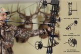 Sanlida Dragon X8 Compound Bow Kit
