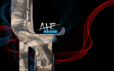 Hori-Zone Air Bourne Compound Bow Field Package